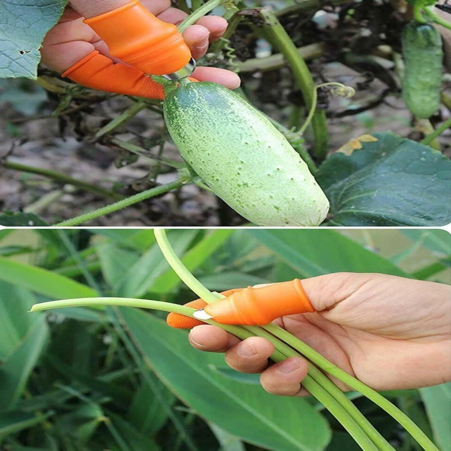 Thumb Knife with 1 Finger Protectors | Kitchen Cutter Set for Vegetables, Fruits & Herbs | Includes Garlic Peeler | Handy Kitchen Tool for Easy Food Prep